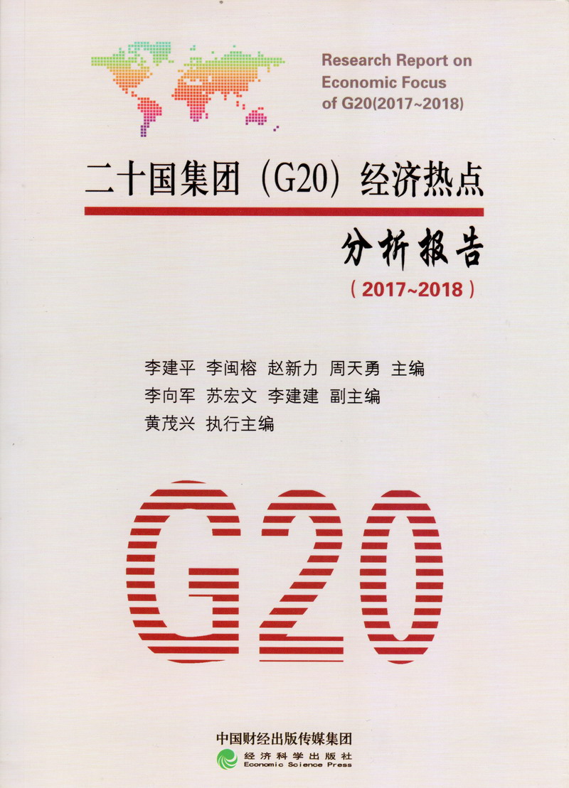 男女透板鸡视频网站二十国集团（G20）经济热点分析报告（2017-2018）