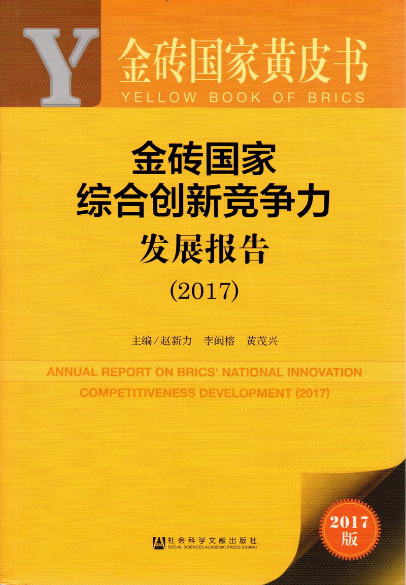 大骚屄日大鸡巴在线黄色视频金砖国家综合创新竞争力发展报告（2017）